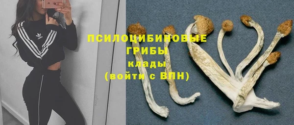 гашиш Гусь-Хрустальный