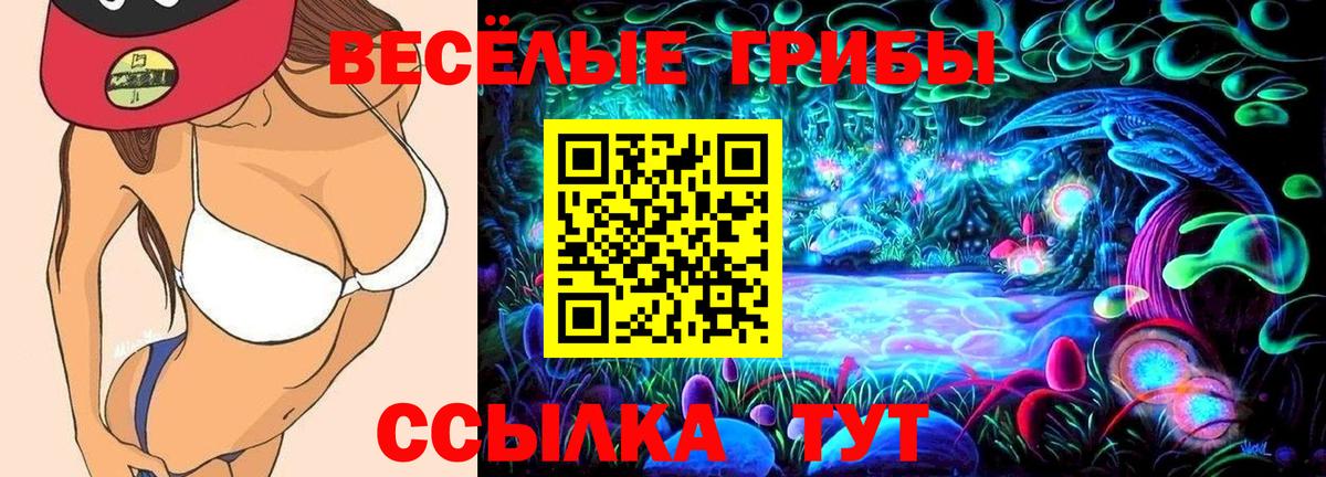 Псилоцибиновые грибы Psilocybe  Галлюциногенные грибы MAGIC MUSHROOMS  Вход с VPN  Дагестанские Огни 